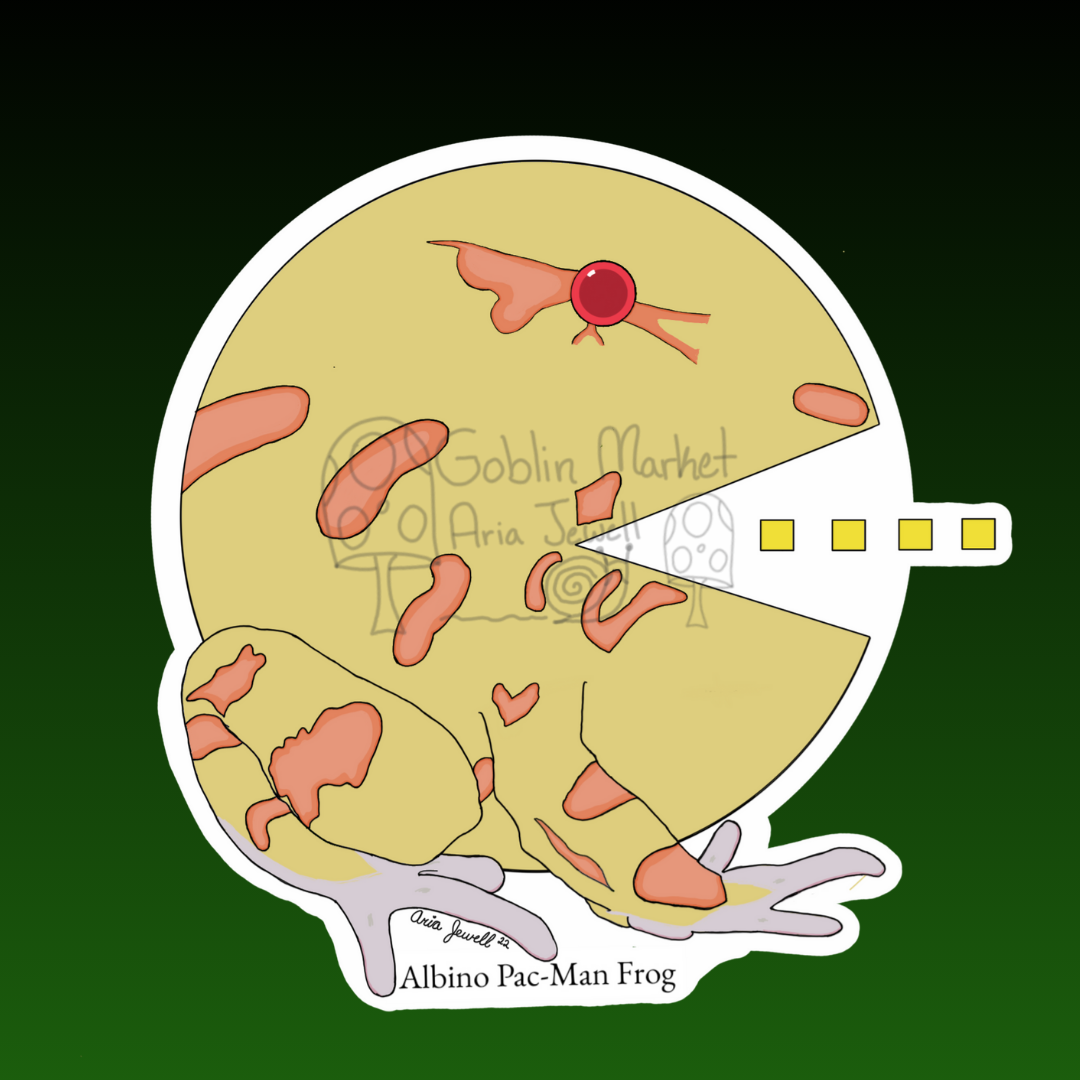 Albino Pac-Man Frog Waterproof Sticker, Hand-Drawn Digital Art