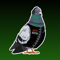 Rock Pigeon, Waterproof Sticker Hand Drawn Digital Art